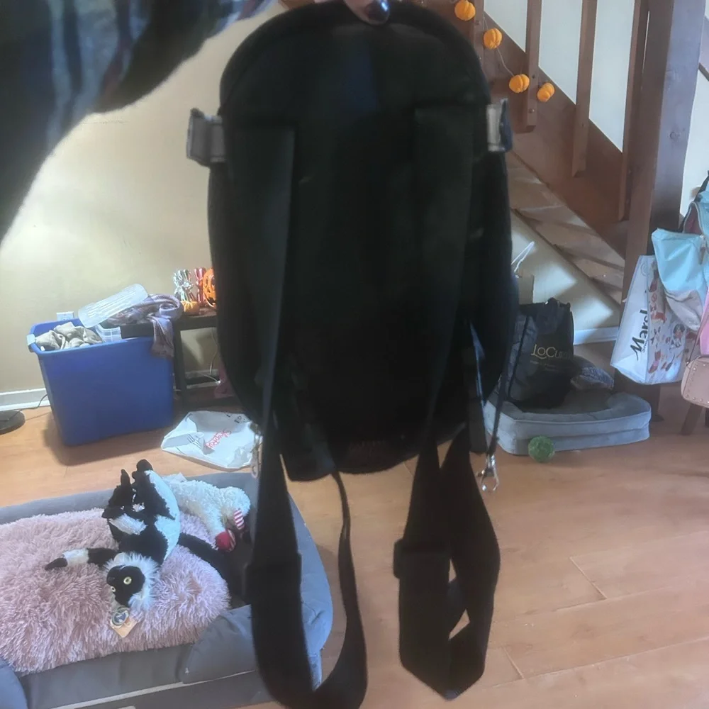 Black Mesh Pet Carrier Backpack